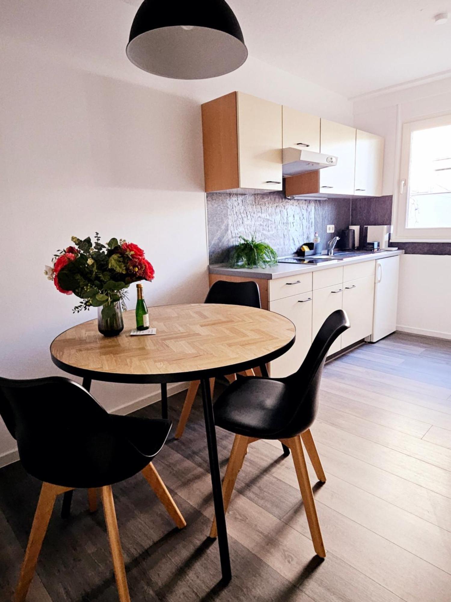 Terrassen-apartment Am Grossen Garten Дрезден