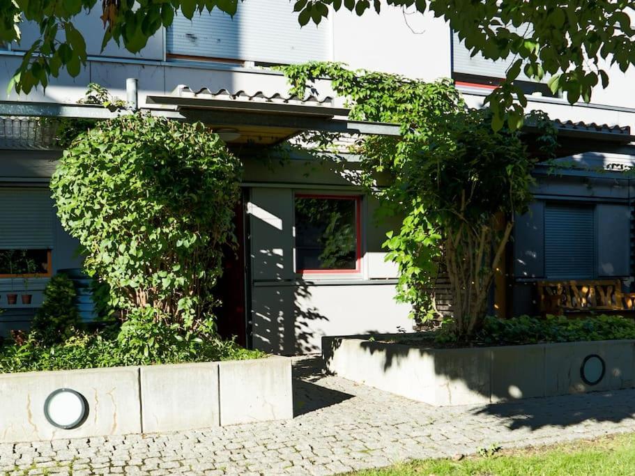 Terrassen-apartment Am Grossen Garten